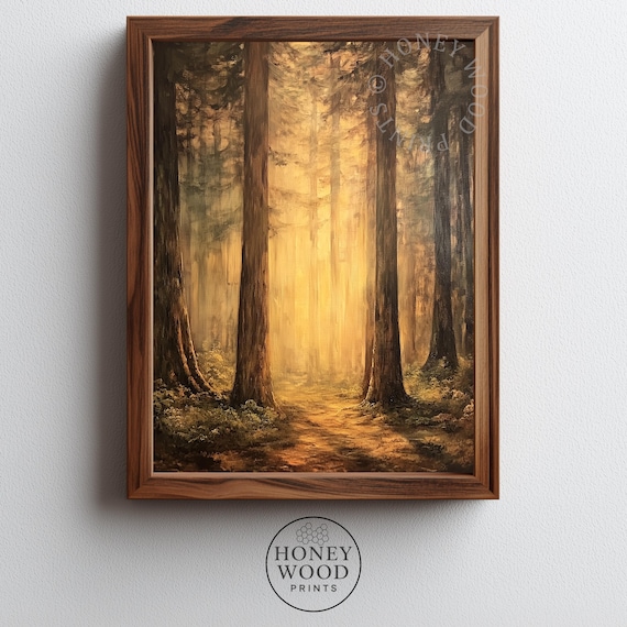 Moody Redwood Grove Print Majestic Forest Landscape Rustic Nature Wall Art Dappled Light Tranquil Path 3