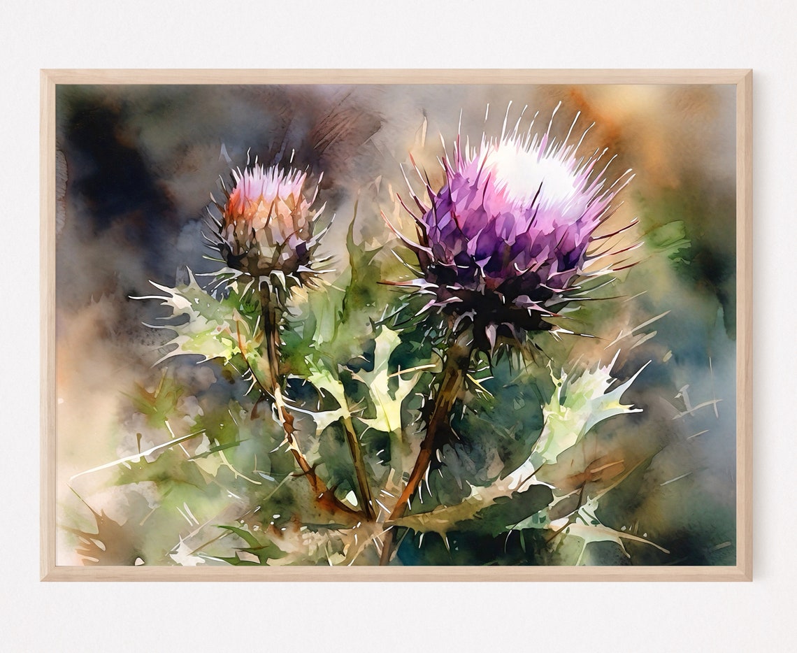 Double Thistle Bloom Pair Watercolor Floral Botanical Poster