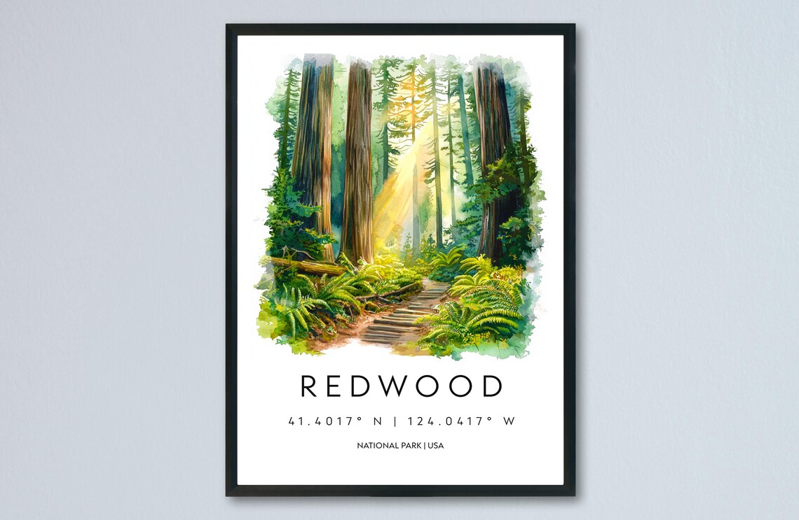 Redwood National Park Watercolor Travel Poster Giant Forest Trail Path