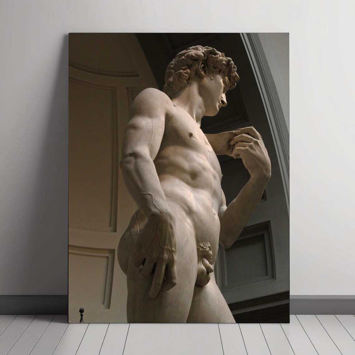 Michelangelo's David Statue, Renaissance Masterpiece