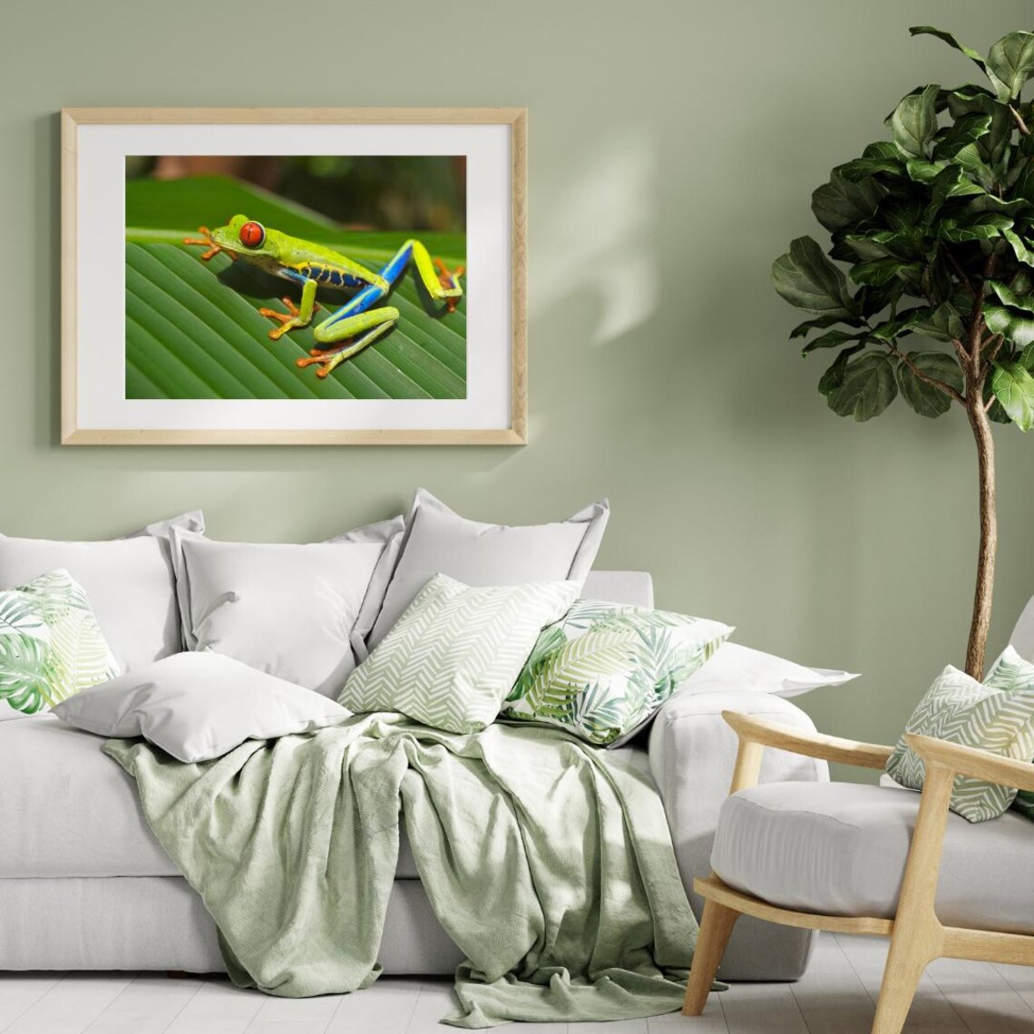 Tree Frog Close Up Photography, Kids Room Decor - Image 2
