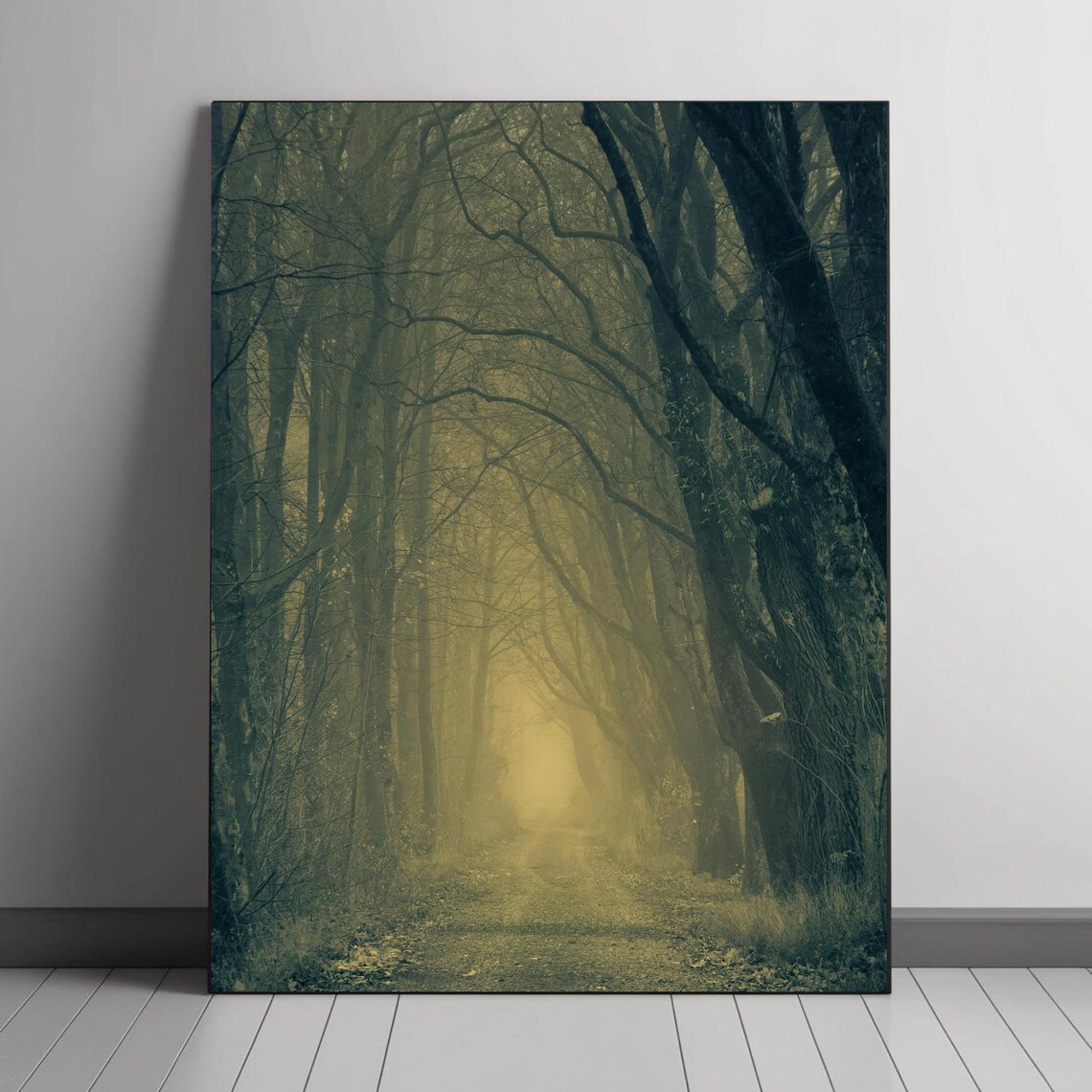 Enchanted Misty Forest, Mysterious Nature Pathway