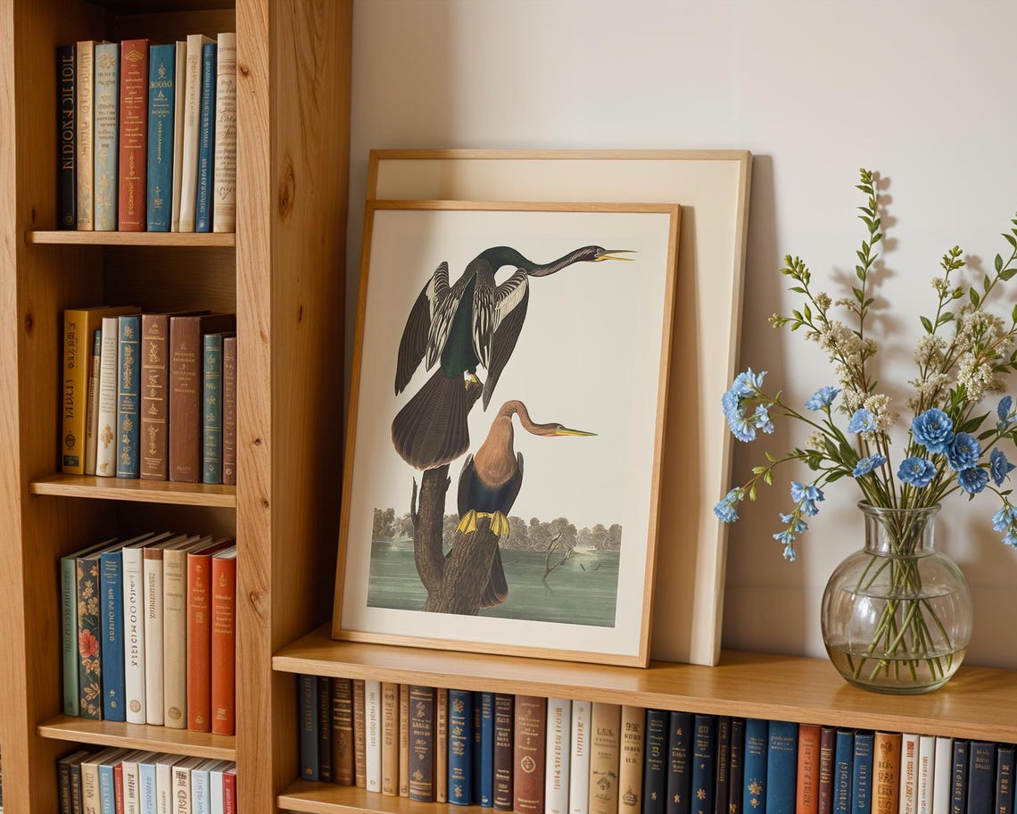 Vintage Waterbirds Perched Lakeside Classic Naturalist Art Poster