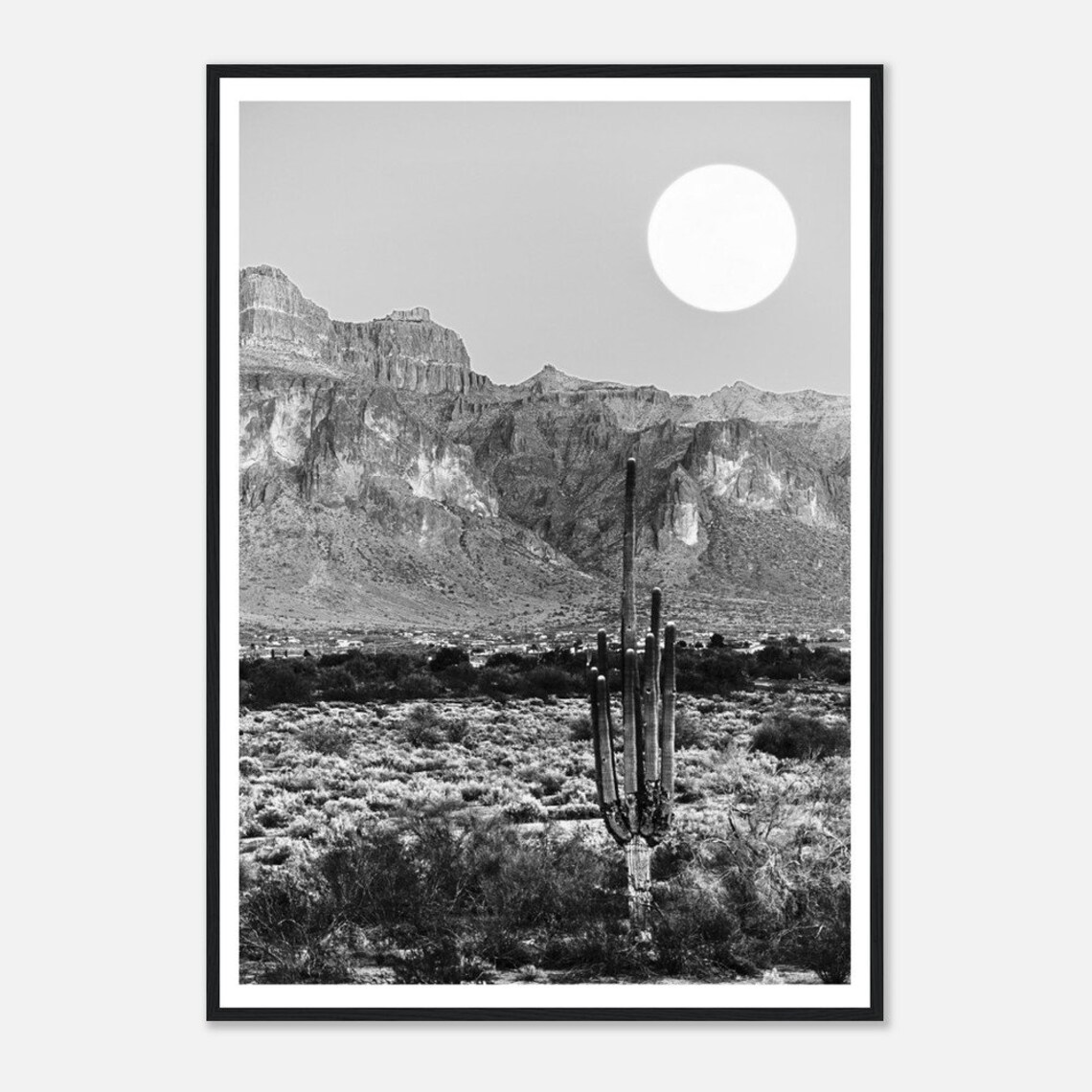 Cactus Under Moonlight, Desert Night Scene Art Print