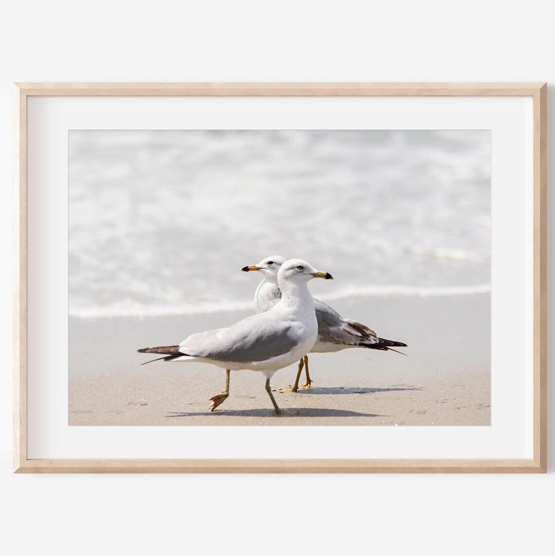 Beach Seagulls Bird Art Print, Coastal Wildlife