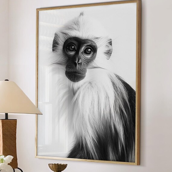 Black and White Monkey Portrait Fluffy Primate Photography Poster