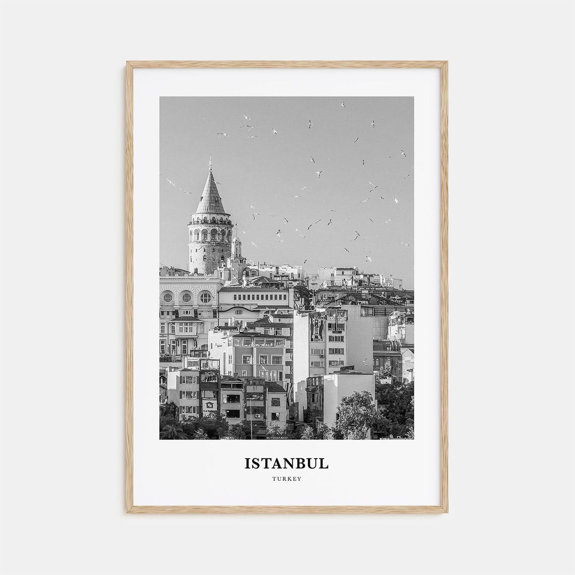 Istanbul Turkey Galata Tower Seagulls Black and White Poster