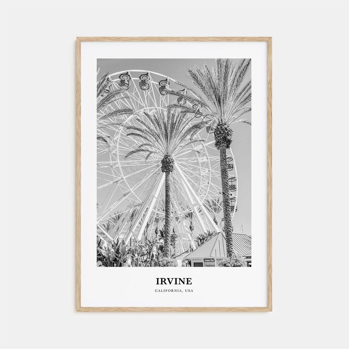 Irvine California Ferris Wheel Palms Black and White Photo Print