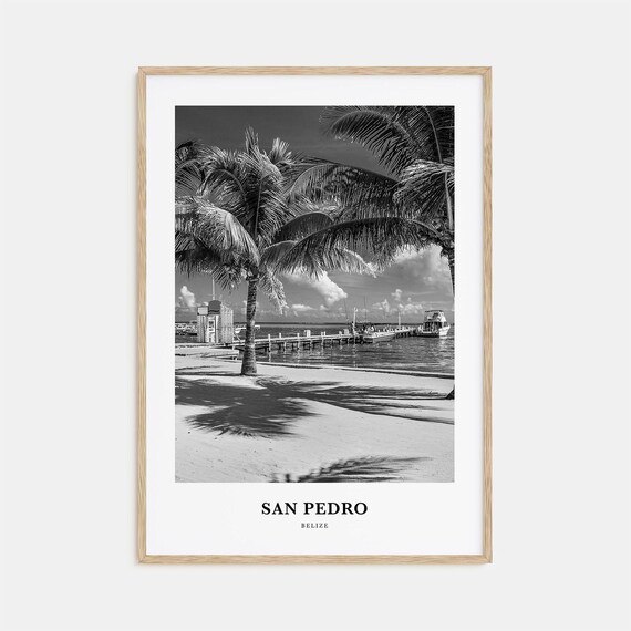 San Pedro Belize Beach Palms Beside the Wooden Fishing Pier Poster