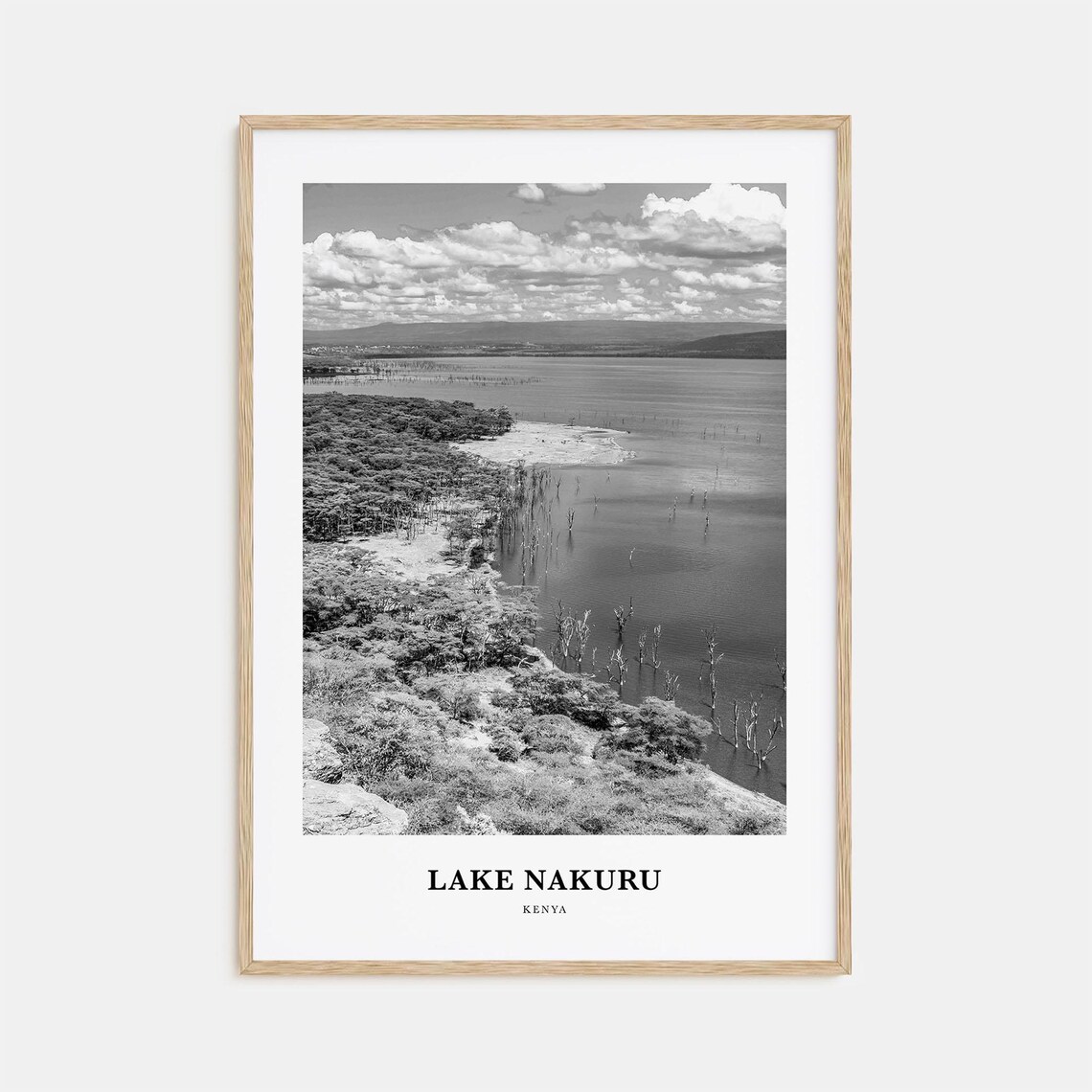 Lake Nakuru African Shoreline Black And White Kenya Safari Poster