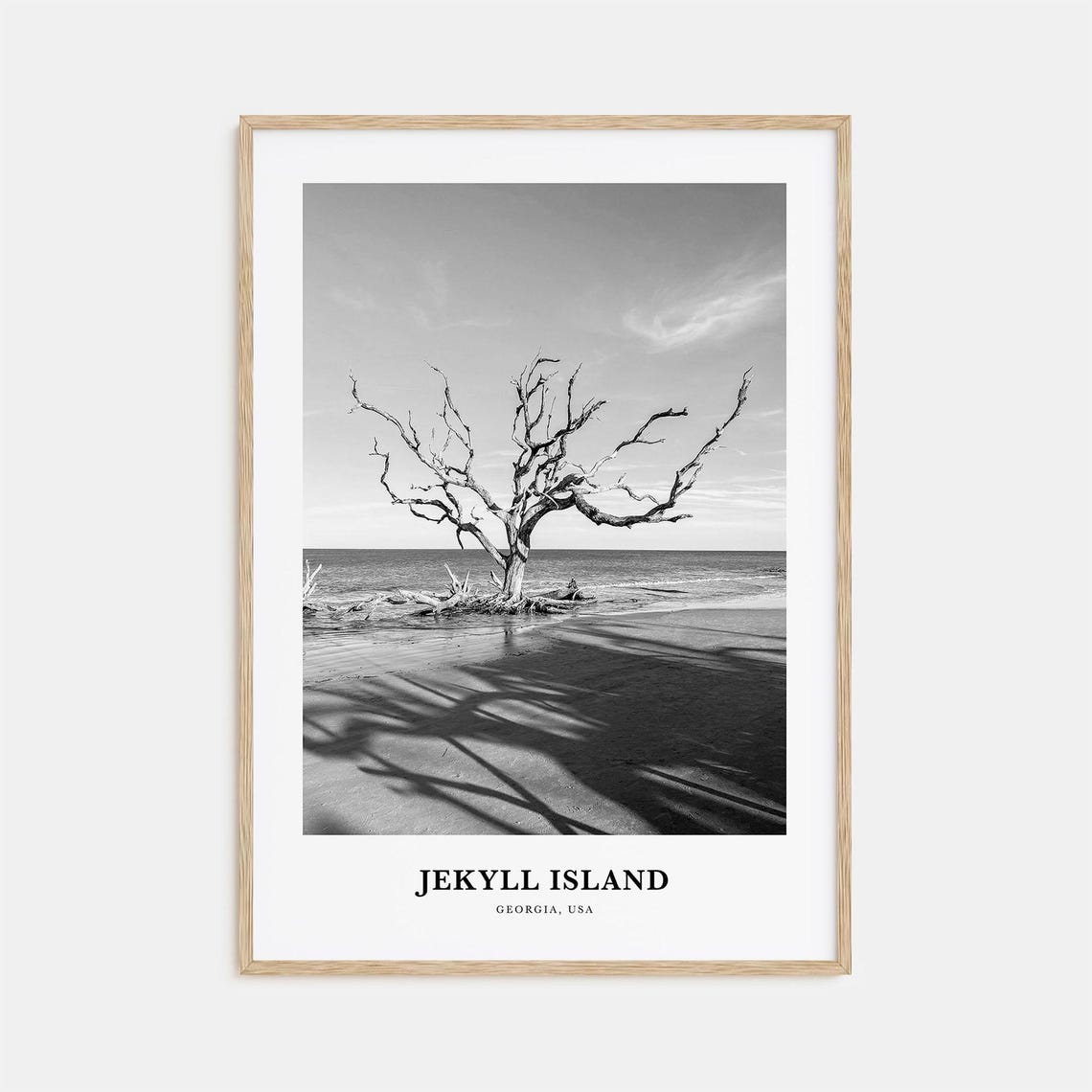 Jekyll Island Georgia Driftwood Beach Tree Black and White Poster