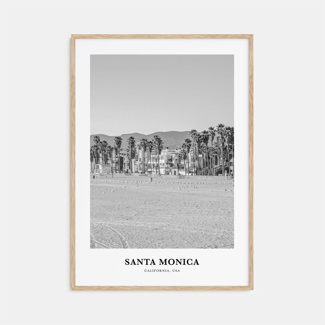 Santa Monica California Beach Palm Trees Hotels Black White Photo Poster