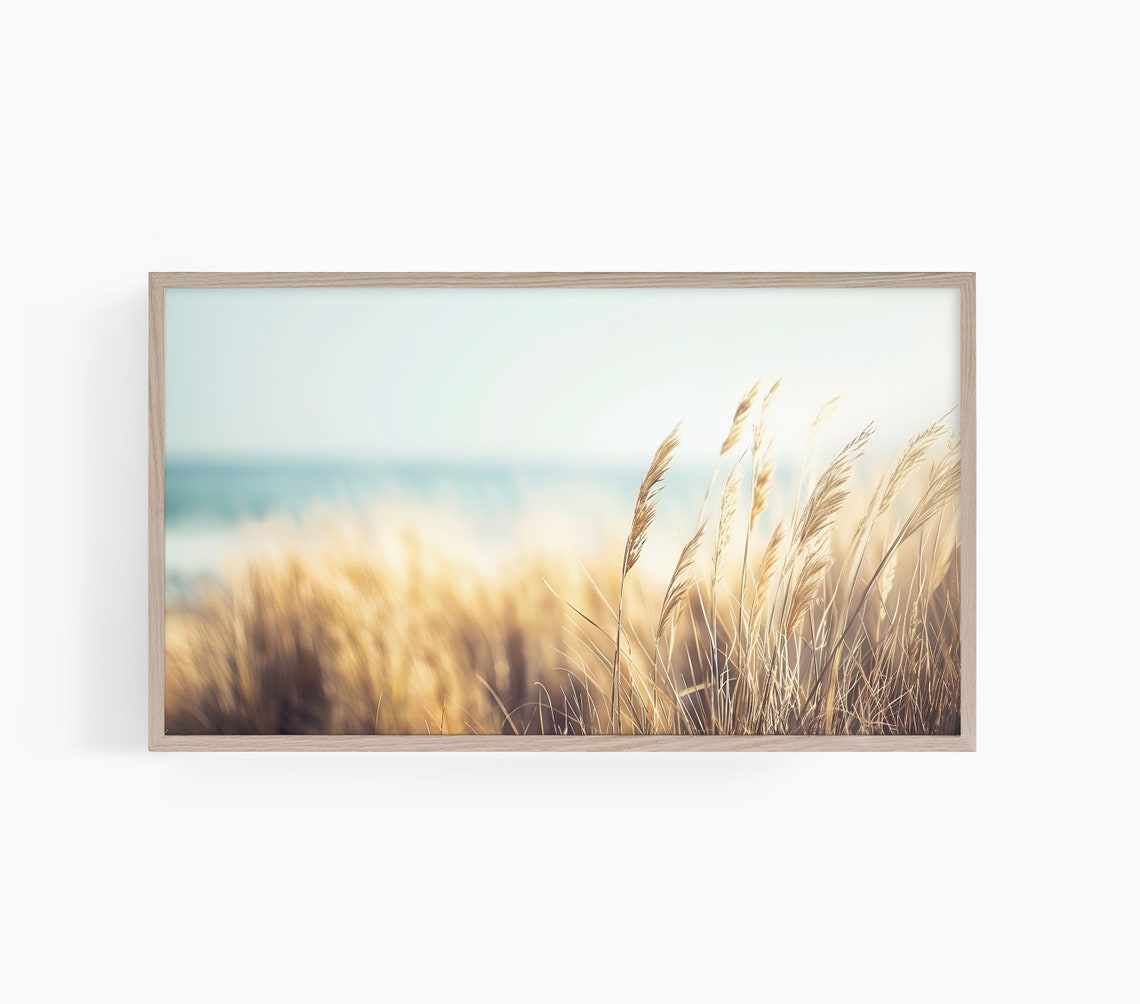 Golden Beach Grass Dunes Coastal Ocean Photography Art Poster