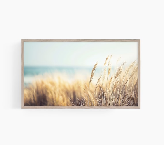 Golden Beach Grass Dunes Coastal Ocean Photography Art Poster