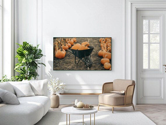 Pumpkin Patch Harvest Wheelbarrow Farm Fall Photography Rustic Decor Poster