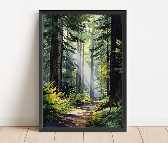 Redwood National Park Watercolor Forest Sunlight Path Tall Trees Poster