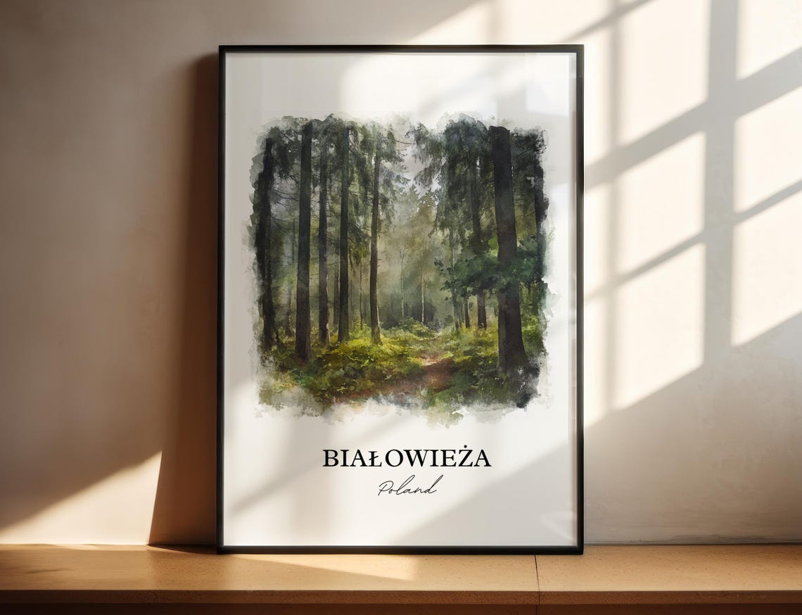 Bialowieza Poland Watercolor Pine Forest Misty Woodland Path Poster