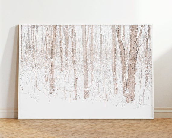 Snowy Winter Forest Wall Art Trees Print Nature Landscape Photography Botanical Neutral Prints Cottage Cabin