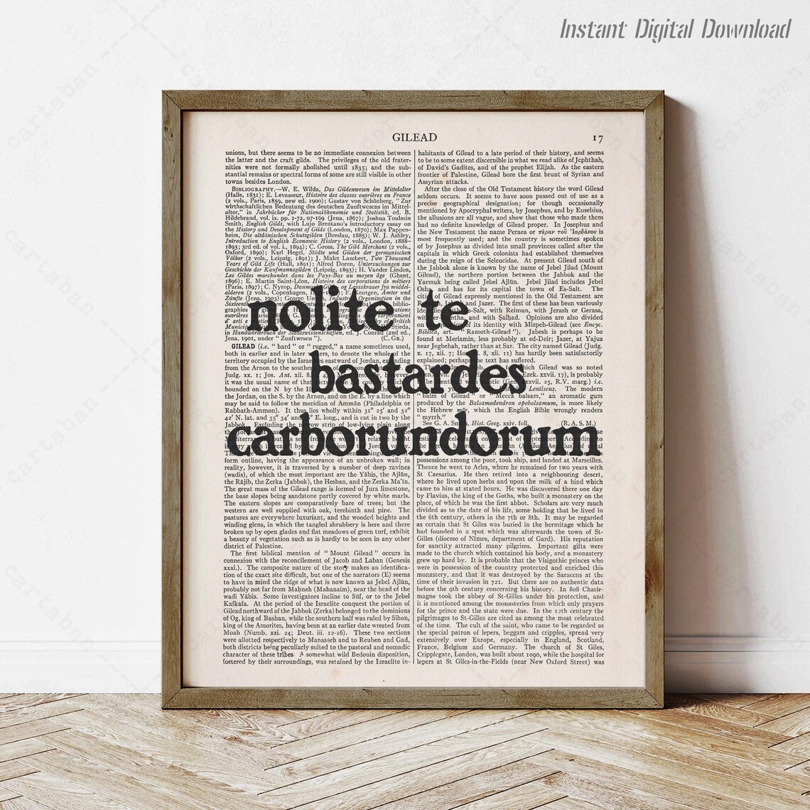 Margaret Atwood Quote, The Handmaid's Tale Art Print