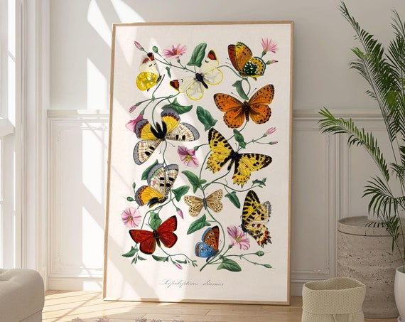 Butterflies Elegant Art Print Botanical Poster Nature Inspired Art Animal Wall Decor Butterfly Lovers Gift Colourful Art Gift For Her