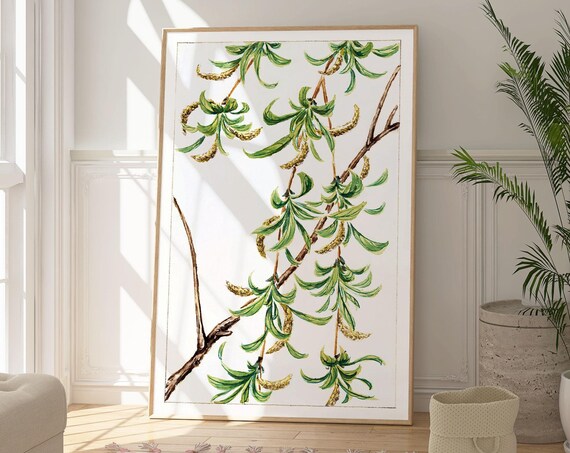 Willow Tree Branches With Catkins Japanese Botanical Zen Watercolor Poster
