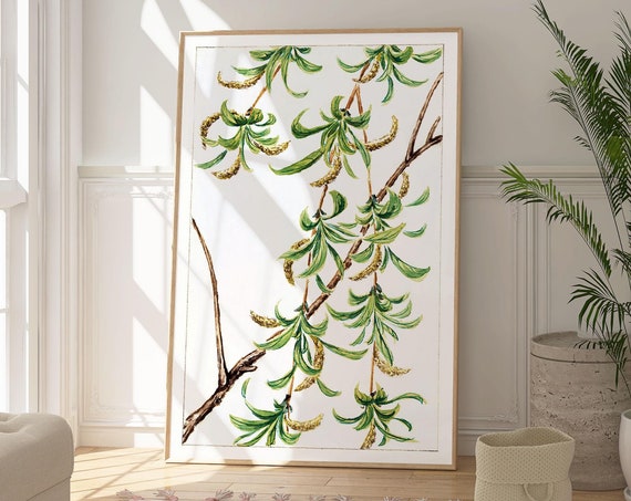 Yanagi Or Willow Floral Poster Botanical Wall Art Print Minimalist Zen Decor Elegant Fine Art Clean Nature Inspired Decor Willow Tree