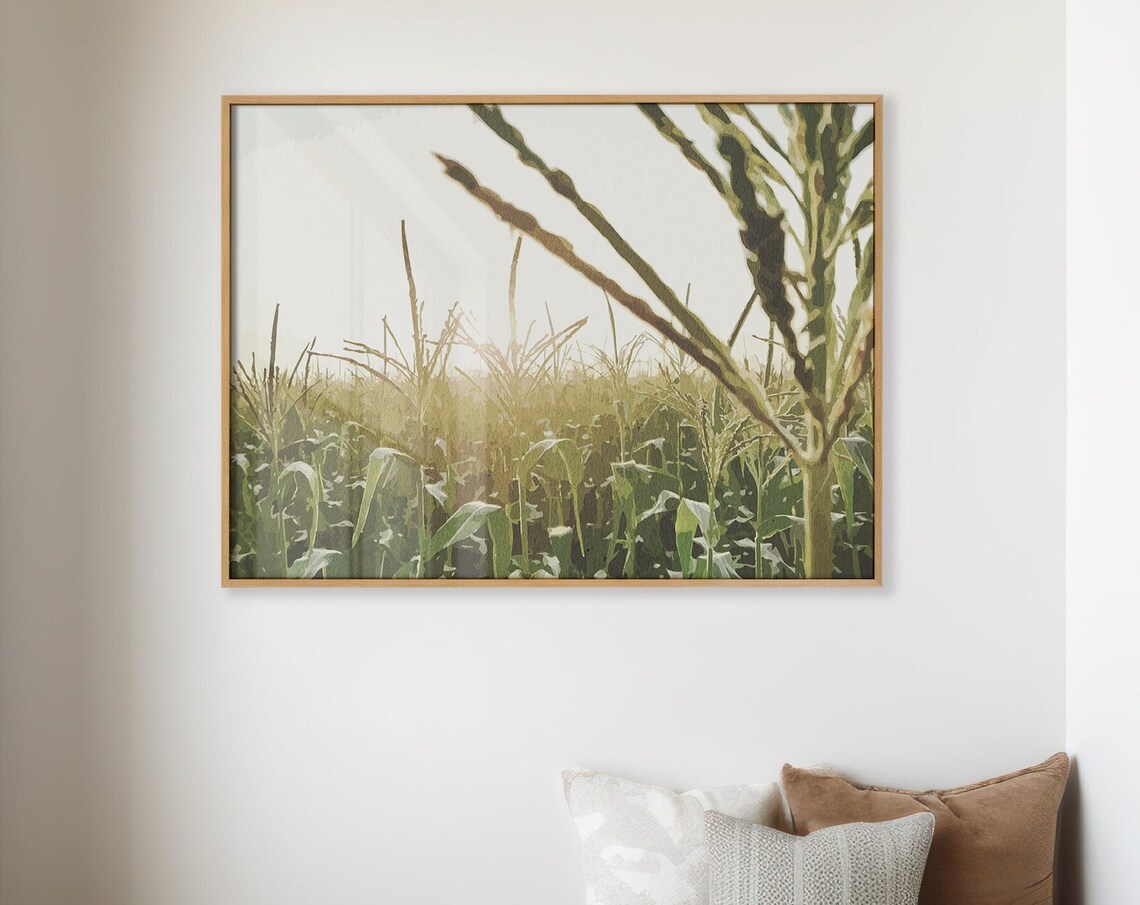 Sunlit Green Cornfield Tall Stalks Summer Farm Photography Poster