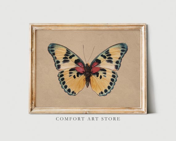 Vintage Butterfly Print Moody Insect Rustic Wall Art Neutral Cottagecore Decor Antique Butterfly Painting Farmhouse Print