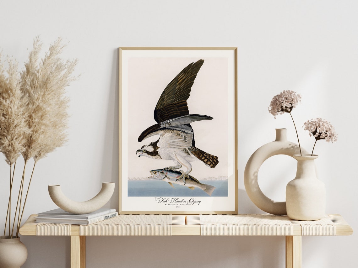 Fish Hawk Osprey Carrying a Fish Vintage Bird Plate Style Poster - Image 3