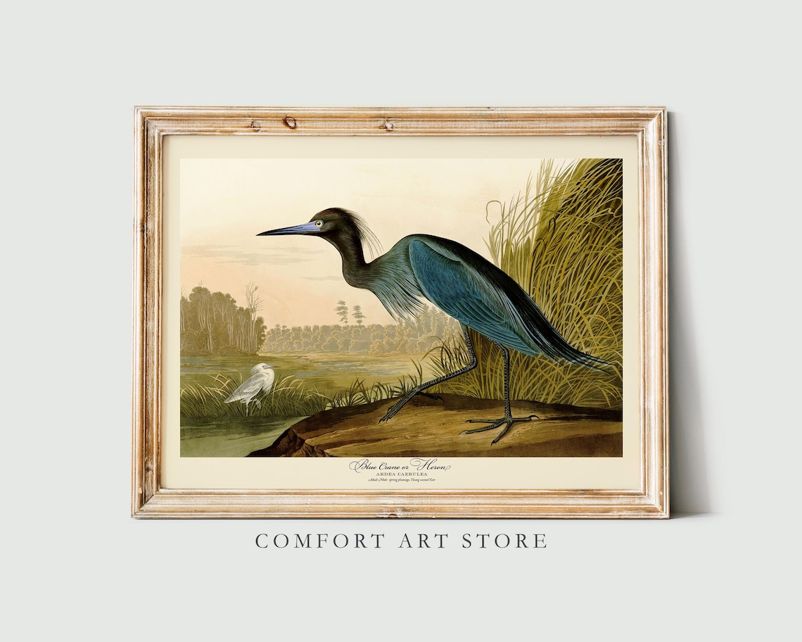John Audubon Blue Crane Heron Vintage Travel Poster