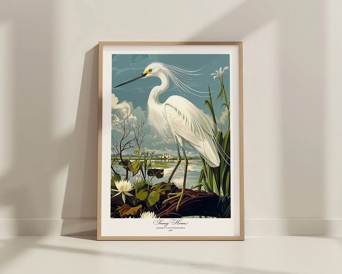 Audubon Style Snowy Heron Vintage Bird Art Print - Image 4