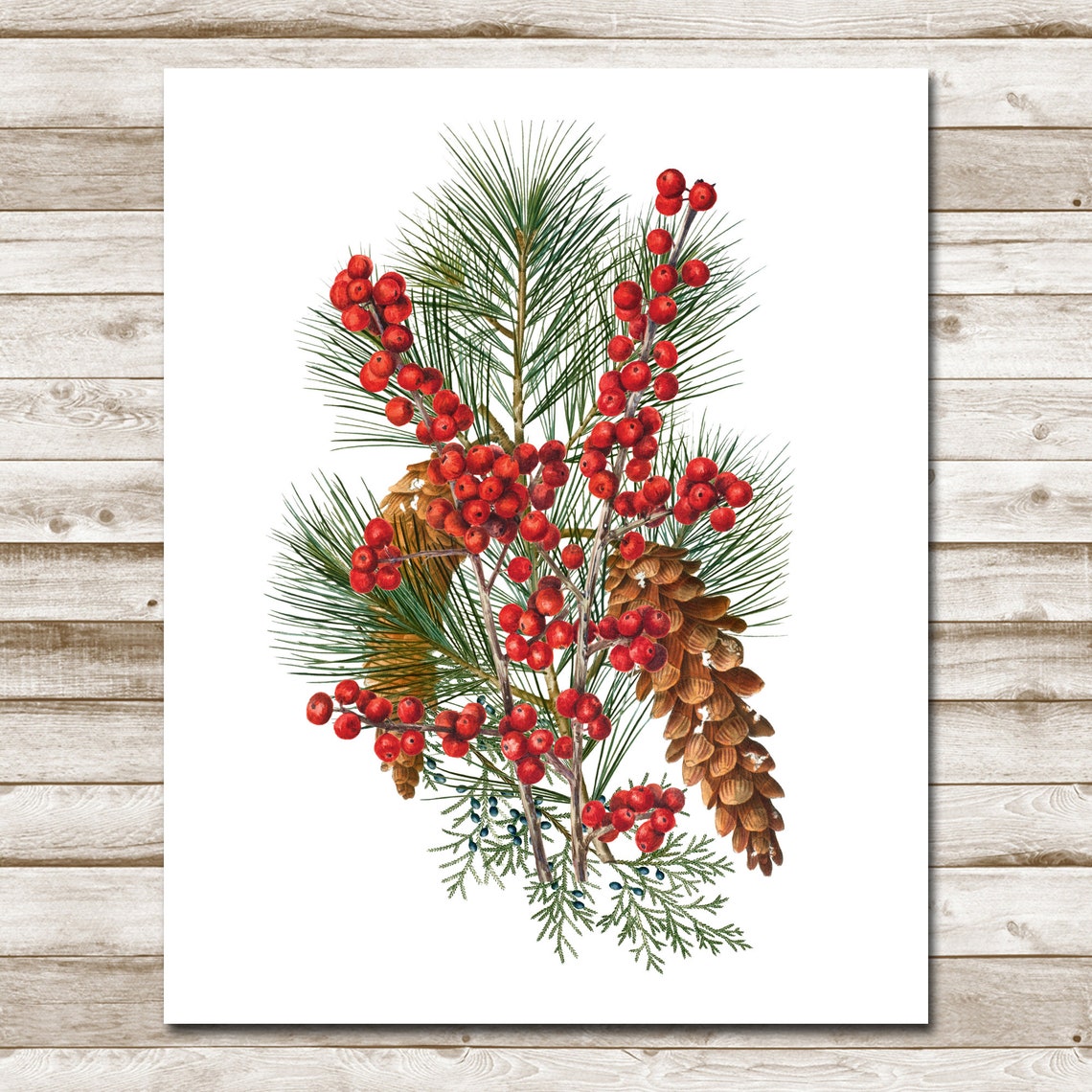 Christmas Pine and Red Berry Watercolor Botanical Holiday Poster - Image 5