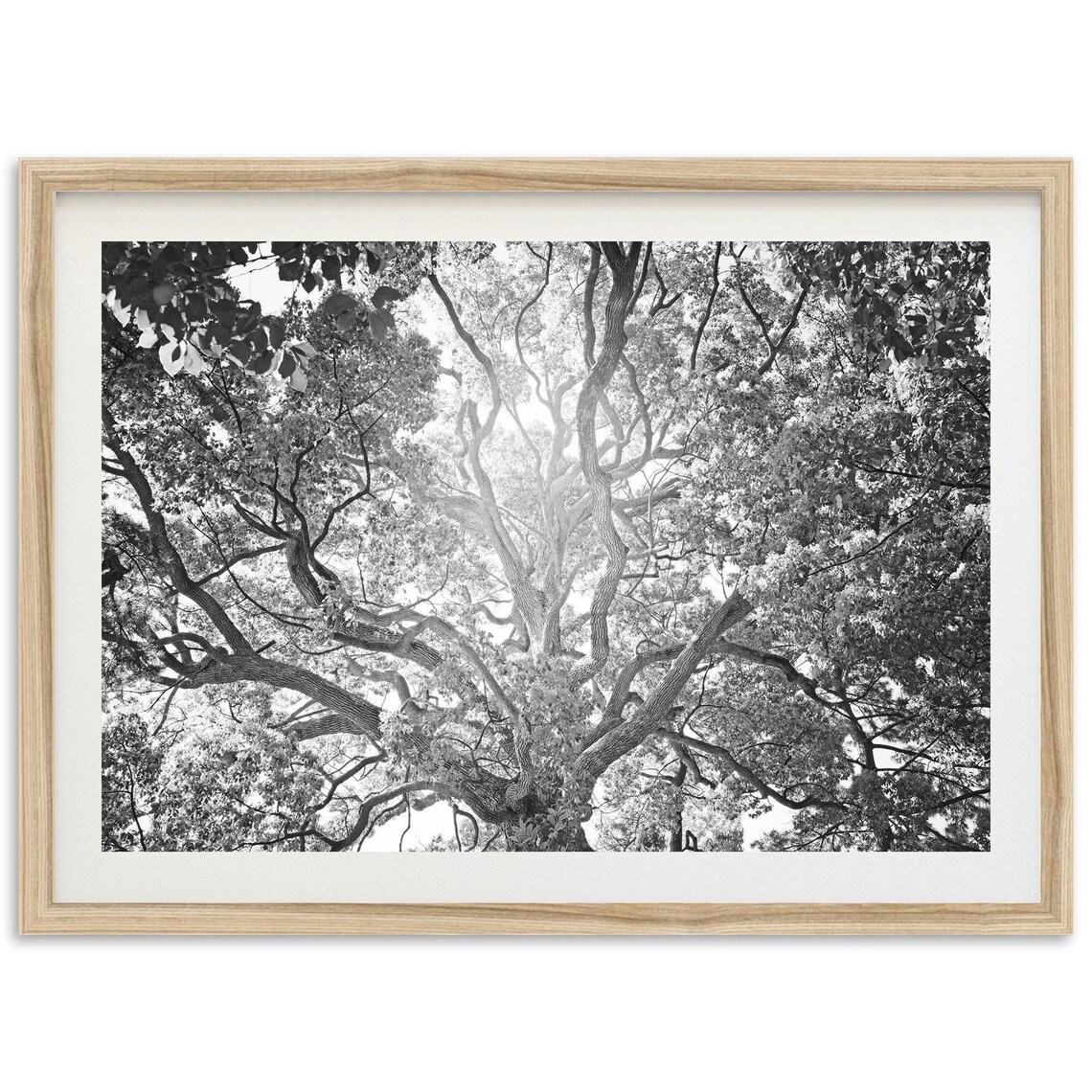 Tree Of Life Art Print, Cottage Core Wall Decor