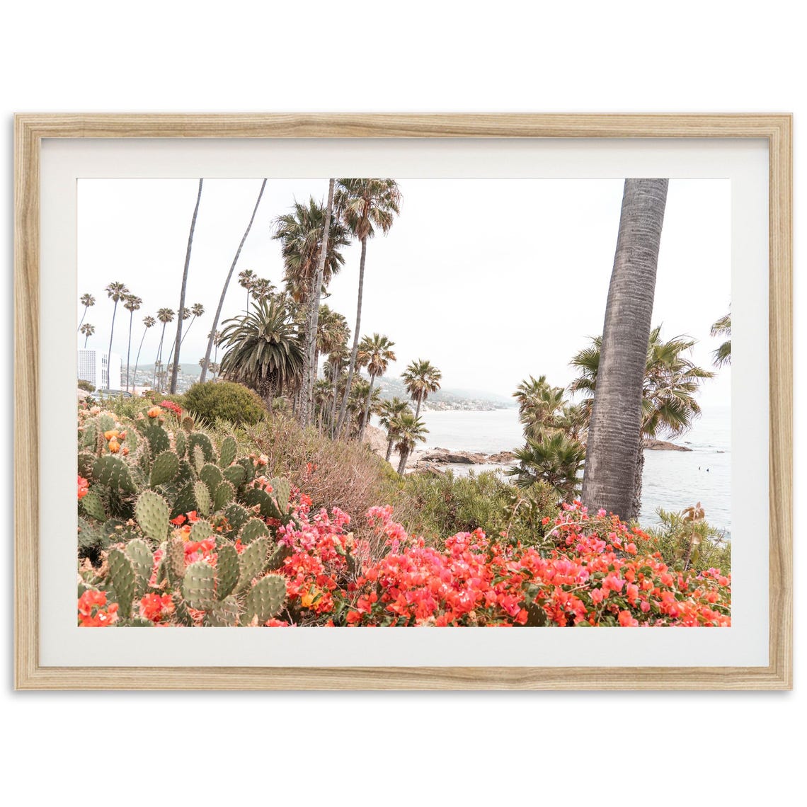 Laguna Beach Coast With Palms and Cacti Fine Art Photo Poster