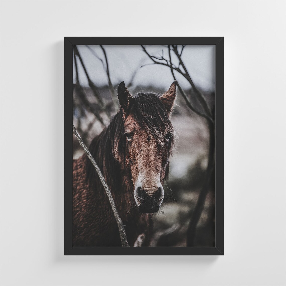 Brown Wild Horse, Stylish Home Decoration