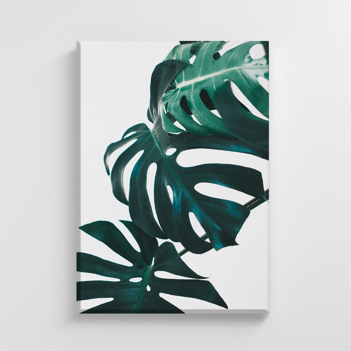 Monstera Leaves Plant, Stylish Home Decoration
