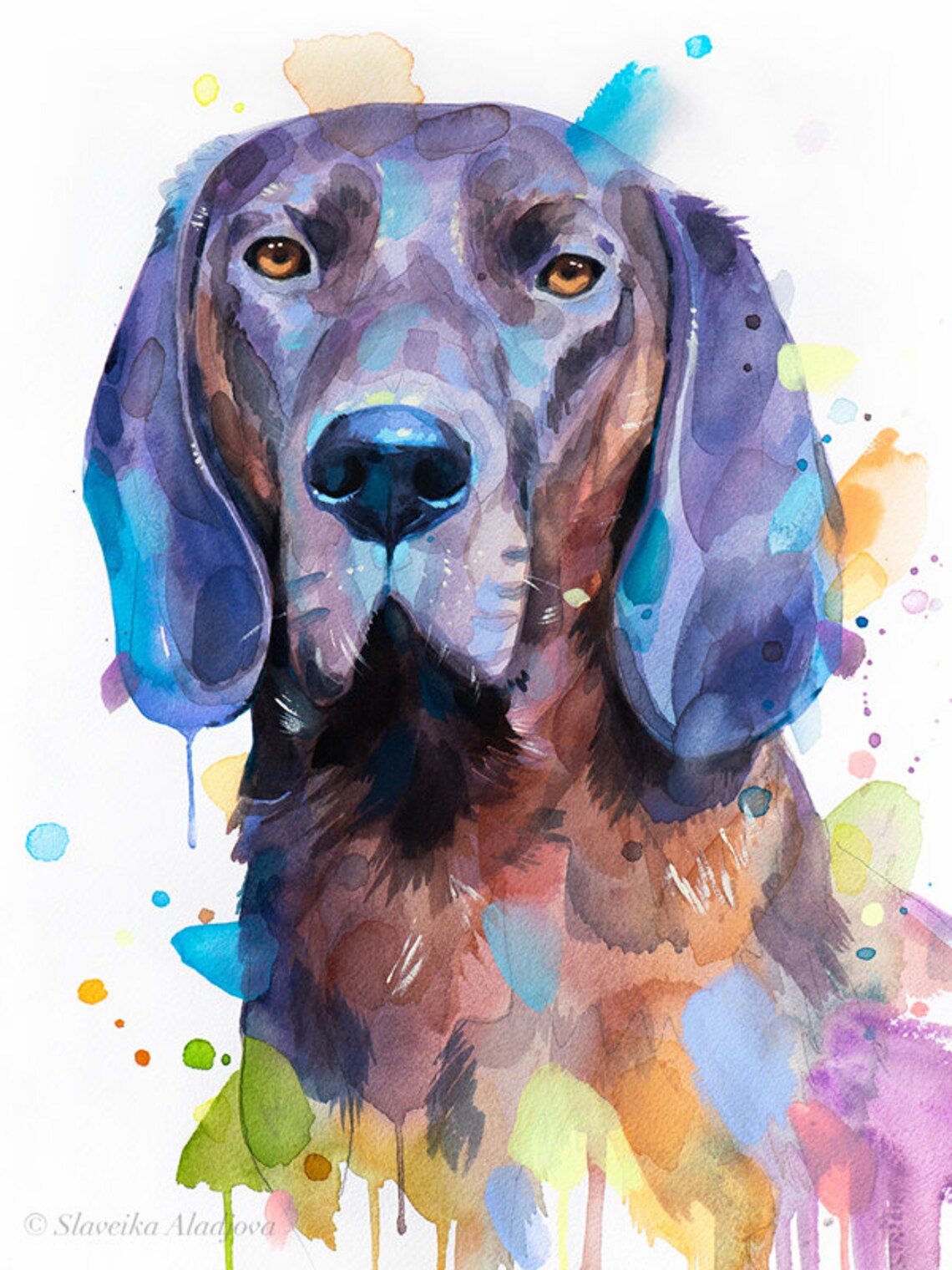 Hanover Hound Dog Watercolor Portrait Print By Slaveika Aladjova - Image 4