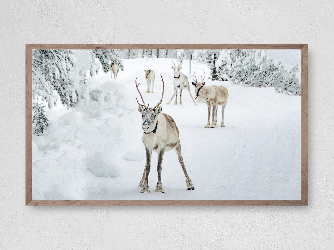 Silly Reindeer in the Snow Holiday Christmas Art Print
