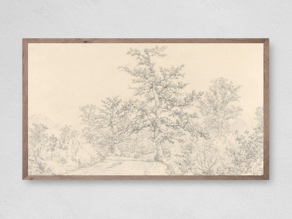 Vintage Tree Sketch Art Print, Nature Study