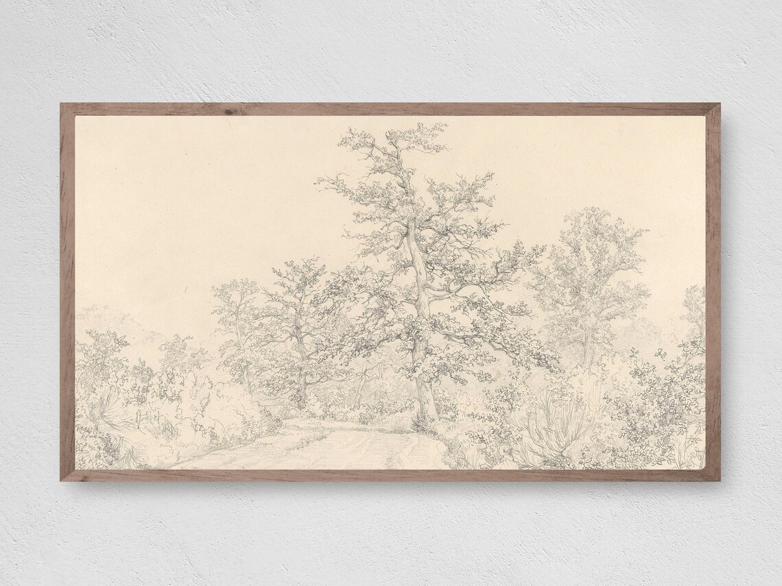 Vintage Tree Sketch Art Print, Nature Study