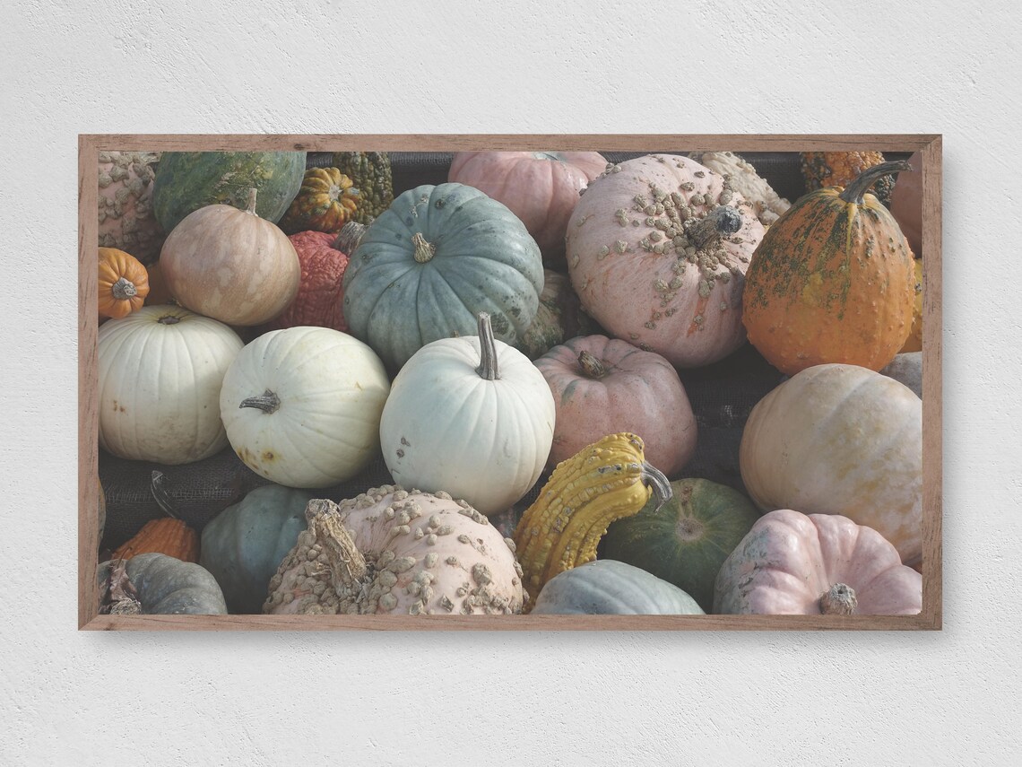 Pretty Pumpkins Art Print, Instant Fall Decor