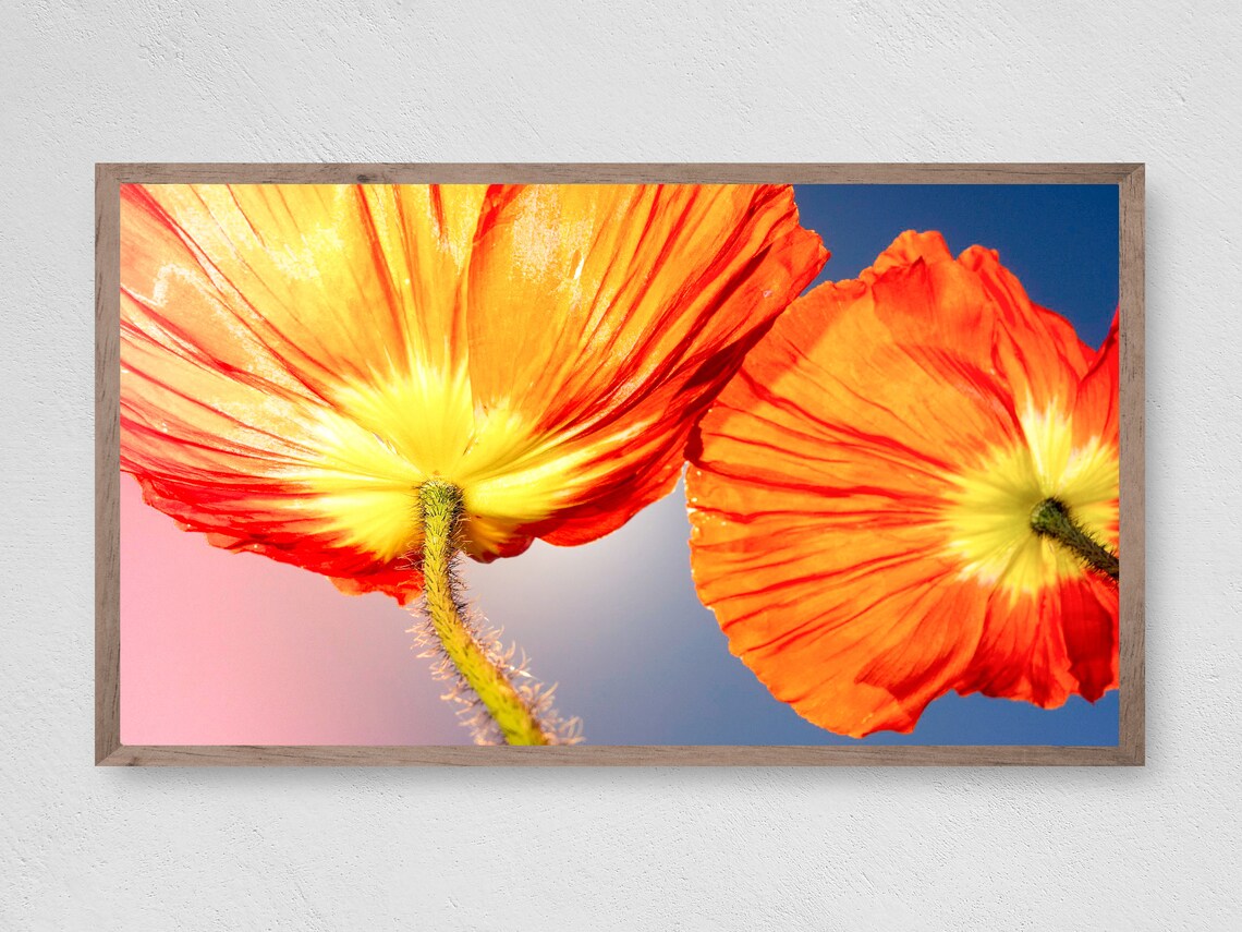 Bright Flowers Art Print, Botanical Decor
