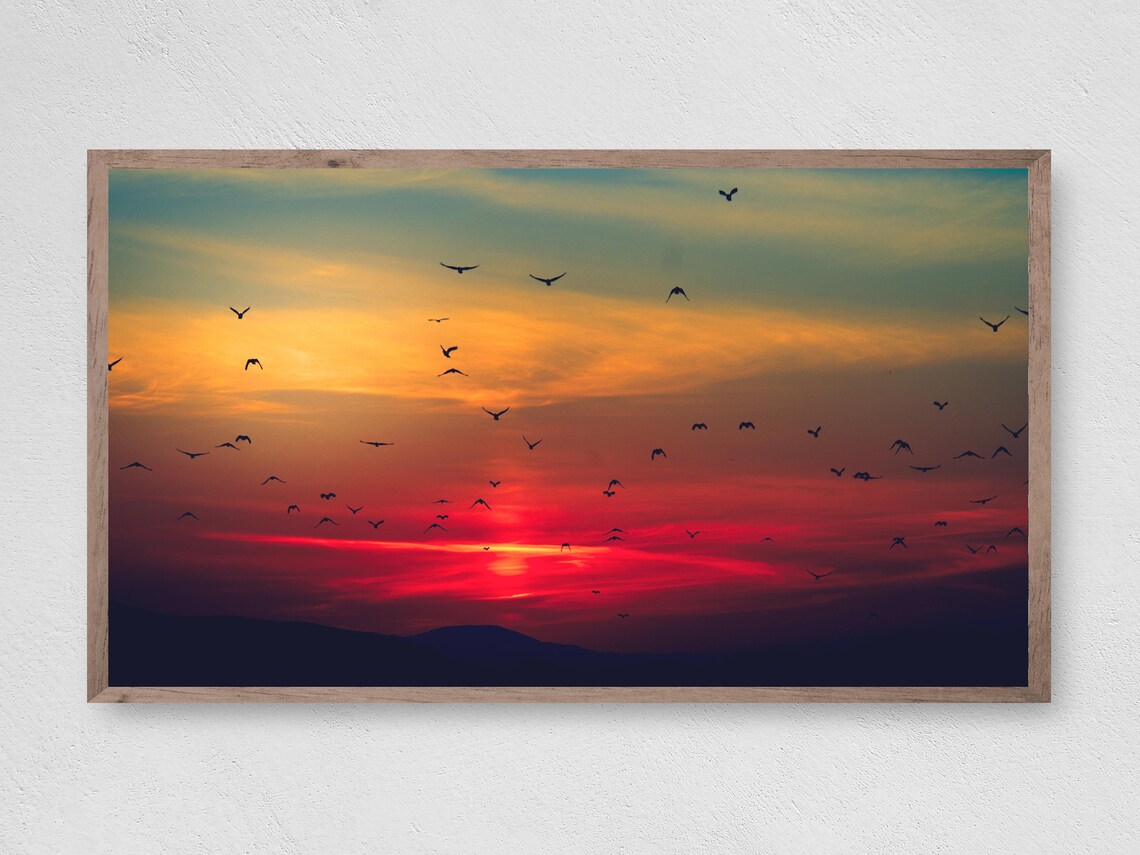 Sunset Sky Flock of Birds Flying Red Orange Dramatic Travel Poster