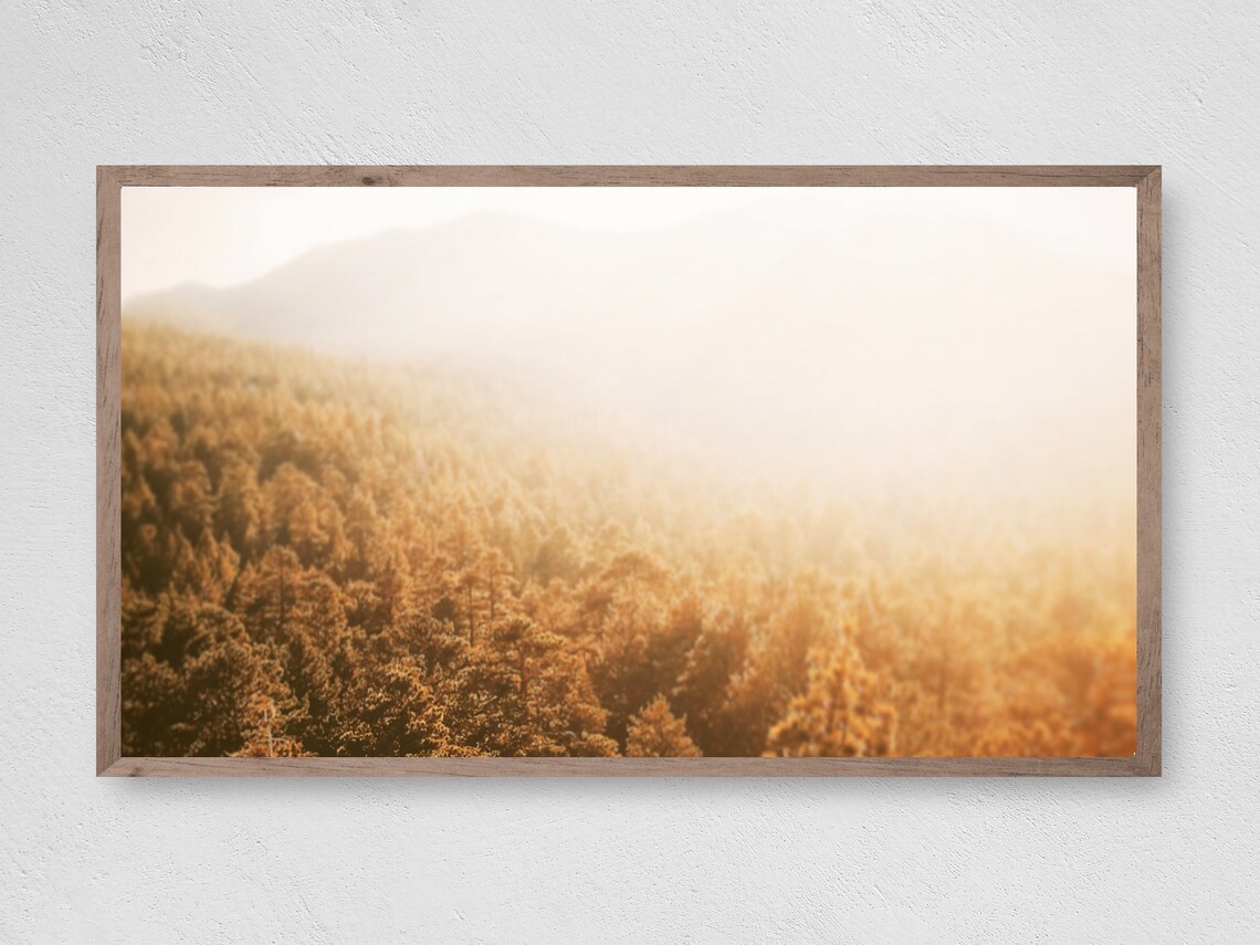 Golden Fall Forest Art Print, Seasonal Leaves