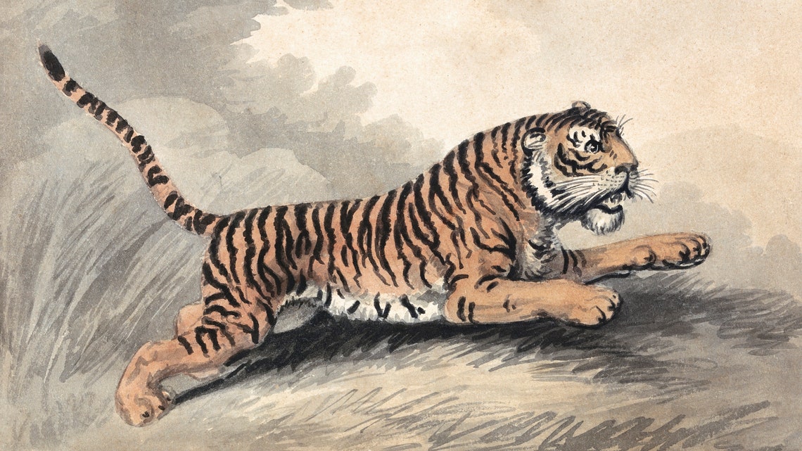 Vintage Tiger Art Print, Boho Animal Decor - Image 2
