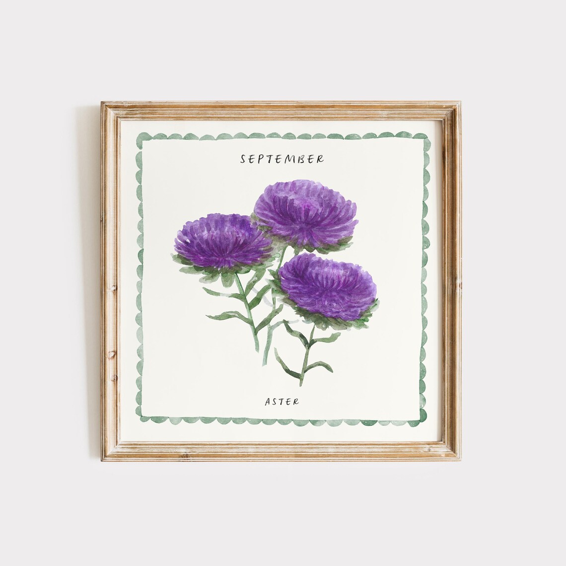 September Aster Watercolor Birth Month Flower Purple Bloom Art Poster