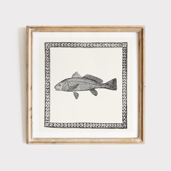Black White Engraved Fish Illustration Ornate Border Art Poster
