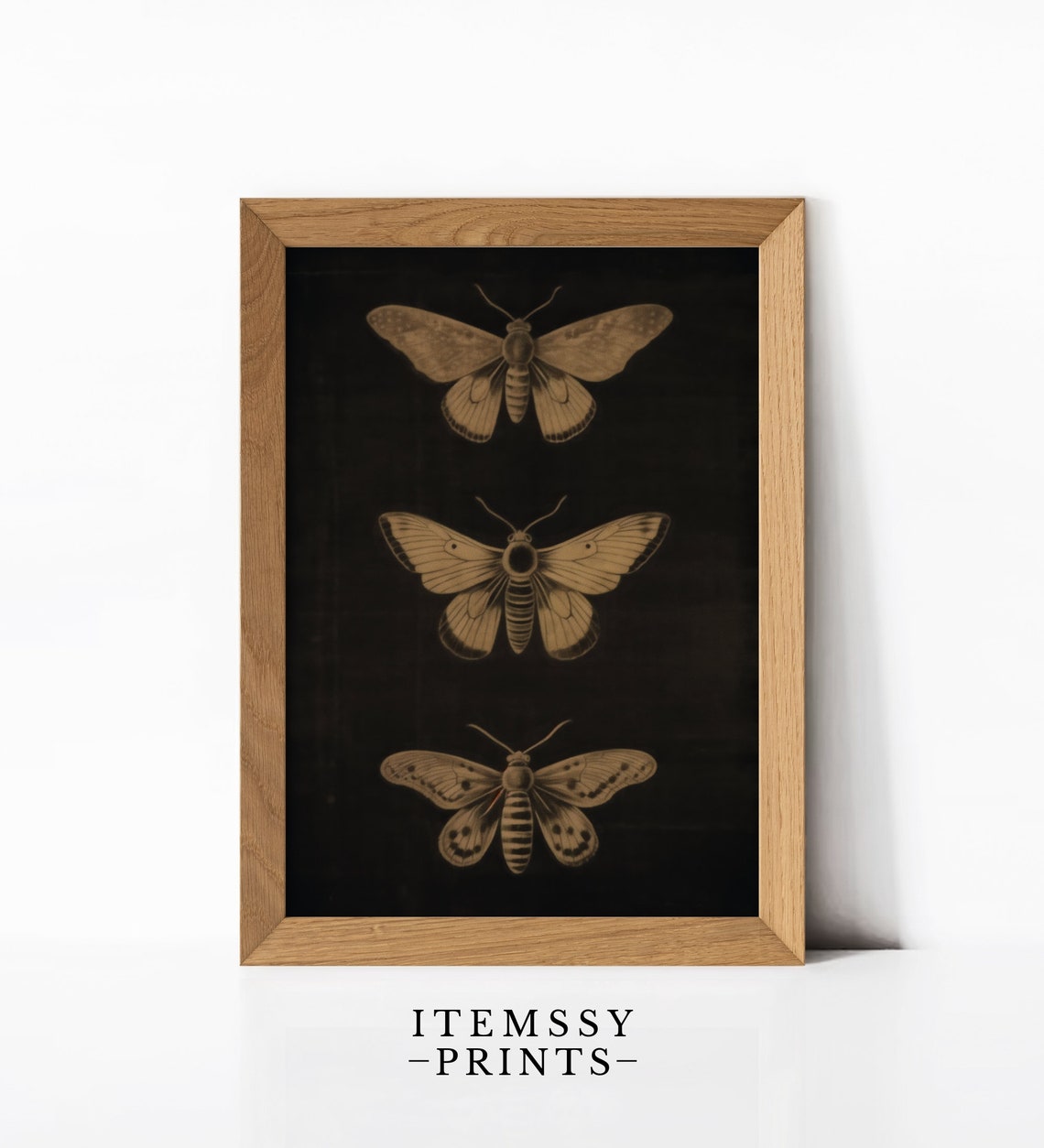Vintage Moth Illustrations on Black Sepia Entomology Art Poster - Image 3