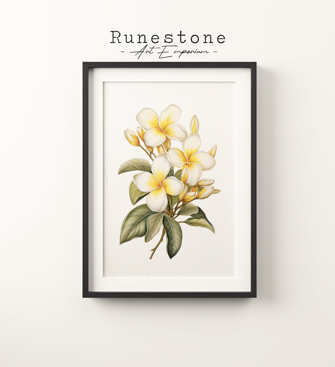 Vintage Frangipani Flower Sketch Art Print, Boho