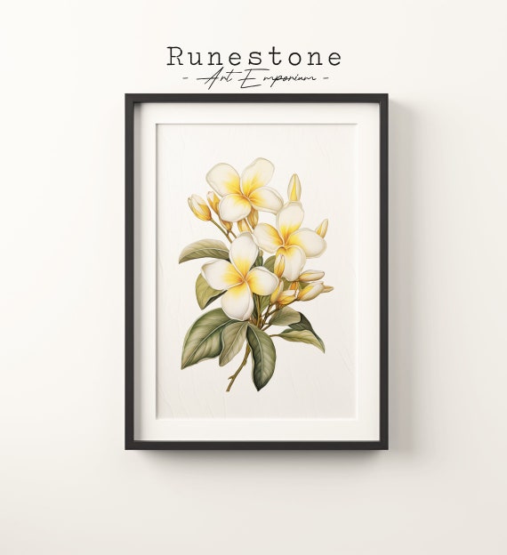 Vintage Frangipani Flower Sketch Art Print, Boho